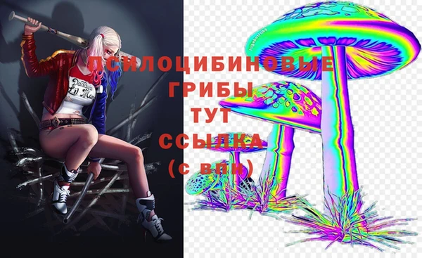 спайс Богородицк