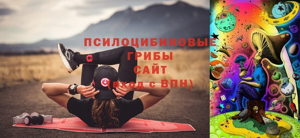 таблы Богородск